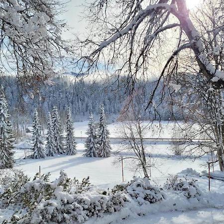 Appartement Wieser Ramsau am Dachstein Zewnętrze zdjęcie